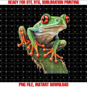 Red Eyed Tree Frog Rainforest Amphibian Leaping Frog T-shirt