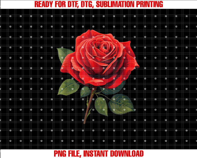 Red Rose Graphic T-shirt
