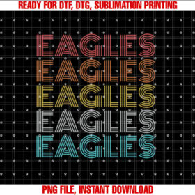 Vintage Eagles T-shirt