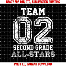 School Team 2nd Grade Allstars Sports Jersey T-shirt