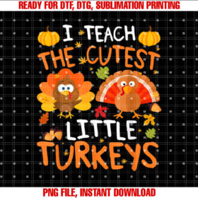 School Thankful I Teach the Cutest Little Turkeys Thanksgiving Teacher T-shirt