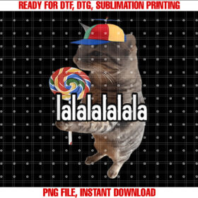 Silly Cat With Lollipop Meme T-shirt