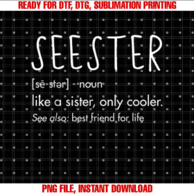 Sister Birthday Gifts Apparel With Funny Seester Definition T-shirt