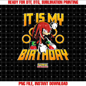 Sonic the Hedgehog Birthday It is My Birthday Knuckles T-shirt