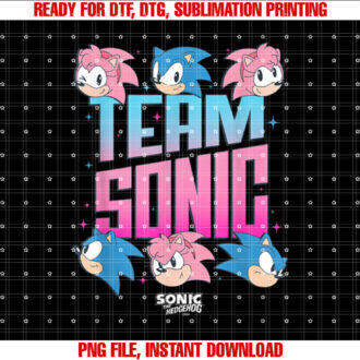 Sonic The Hedgehog Team Sonic Amy Rose Retro T-shirt