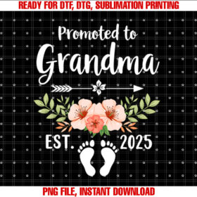 Soon to Be Grandma 2025 Promoted to Grandma Est 2025 T-shirt