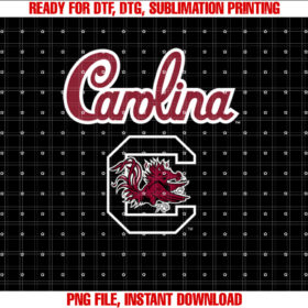 South Carolina Gamecocks Classic Gray Officially Licensed T-shirt