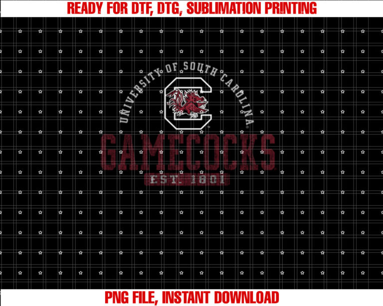 South Carolina Gamecocks Vintage 1801 Licensed T-shirt