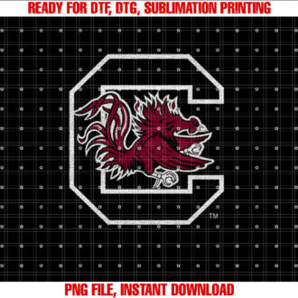 South Carolina Gamecocks Vintage T-shirt