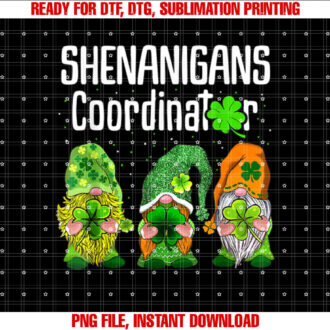 St Patricks Day Shenanigans Coordinator Gnomes Green Gnomies T-shirt