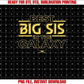 Star Wars Best Big Sis in the Galaxy Family Trip Birthday T-shirt