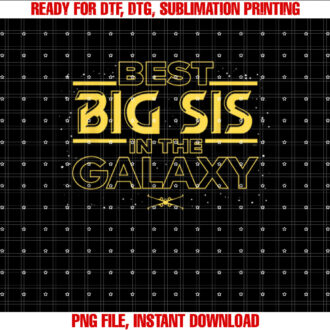 Star Wars Best Big Sis in the Galaxy Family Trip Birthday T-shirt