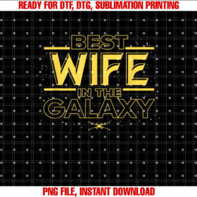 Star Wars Best Wife in the Galaxy Birthday Anniversary T-shirt