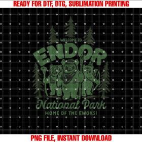 Star Wars Travel Vacation Endor National Park Ewoks T-shirt