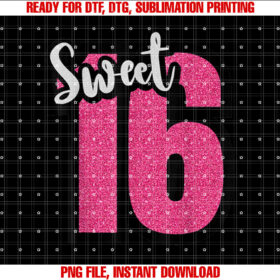 Sweet 16 Sweet Sixn Squad 16th Birthday Girls Celebrating T-shirt