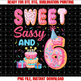 Sweet Sassy and 6 Birthday Donut Theme 6th Birthday T-shirt
