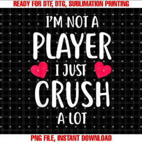 Sweet Valentines Day Gift Im Not a Gamer I T-shirt