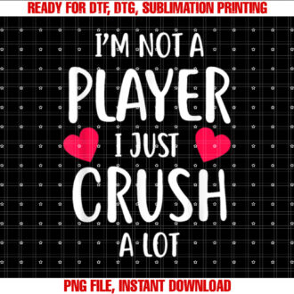 Sweet Valentines Day Gift Im Not a Gamer I T-shirt