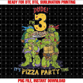 nage Mutant Ninja Turtles Im 3 Dude Pizza Birthday Party T-shirt
