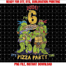 nage Mutant Ninja Turtles Im 6 Dude Pizza Birthday Party T-shirt