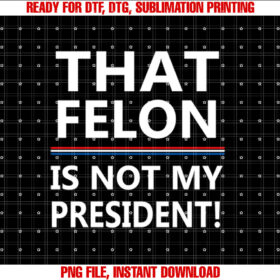 That Felon is Not My President Antitrump T-shirt