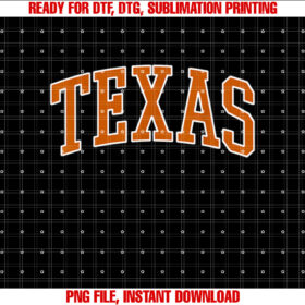 The Best Outfits Accessories for Texas Lovers T-shirt