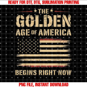 The Golden Age of America Begins Right Usa Flag Distressed T-shirt