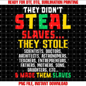 They Didnt Steal Slaves History Month Pride T-shirt