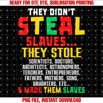They Didnt Steal Slaves History Month Pride T-shirt