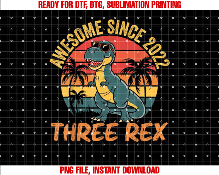 Third Dinosaur Three Rex 3rd Birthday 3 Year Old Boys T-shirt