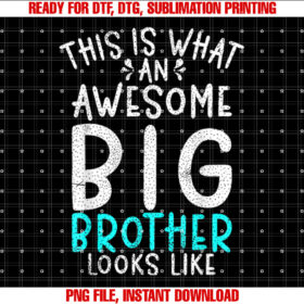 This is What an Awesome Big Brother Looks Like Big Brother T-shirt