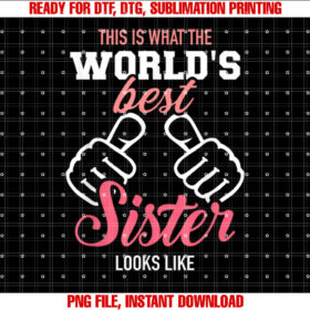 This is What the Worlds Best Sister Looks Like T-shirt