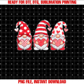 Three Gnomes Holding Heart Valentines Day Women Girls Kids T-shirt