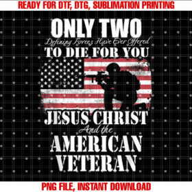 Two Died for You Jesus and American Veteran Memorial Gift T-shirt