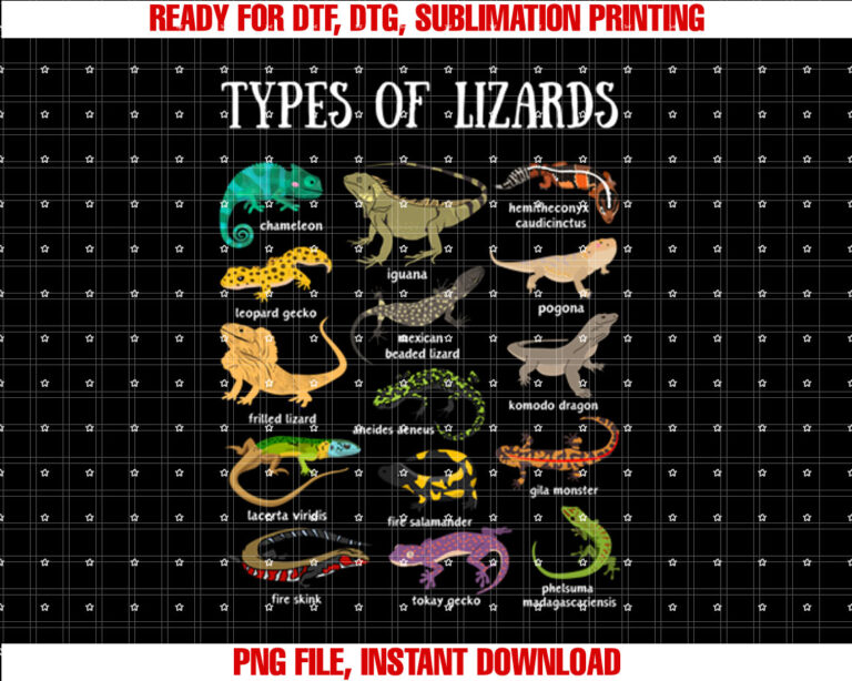 Types of Lizards Reptile Herpetology Men kids lizard collage T-shirt