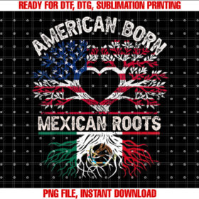 Usa Mexico Flag Proud Heritage American Born Mexican Roots T-shirt