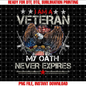 Usarmy Veteran for Veteran Day Gift Idea T-shirt