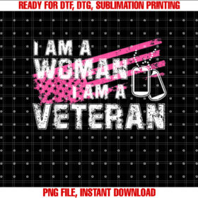 Veteran Female Pink Usa Flag Veterans Day Memorial Military T-shirt