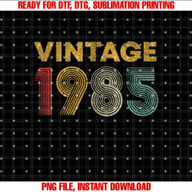 Vintage 1985 40th Birthday Gift Men Women 40 Years Old T-shirt