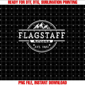 Vintage Arizona Flagstaff T-shirt