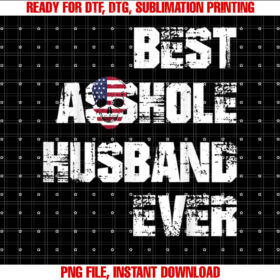 Vintage Best Asshole Husband Ever Husband Gift Idea T-shirt