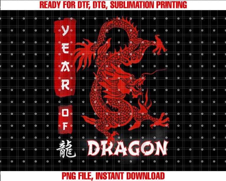 Vintage DRAGON Chinese Zodiac Year of DRAGON T-shirt