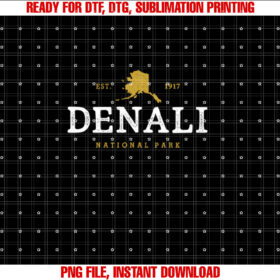 Vintage Denali National Park Alaska Souvenir Est 1917 T-shirt