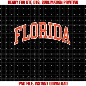 Vintage Florida Men Florida Women Retro Blue Orange Fl  T-shirt