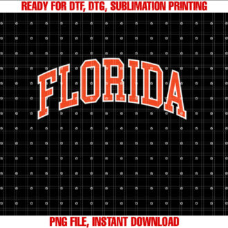 Vintage Florida Men Florida Women Retro Blue Orange FL Tee T-shirt