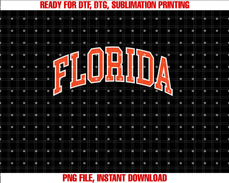 Vintage Florida Men Florida Women Retro Blue Orange FL Tee T-shirt