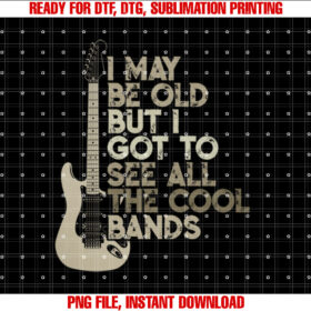 Vintage I May Be Old but I Got to See All the Cool Bands T-shirt