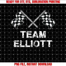 Vintage Team Elliott Family Name Checkered Flag Racing T-shirt