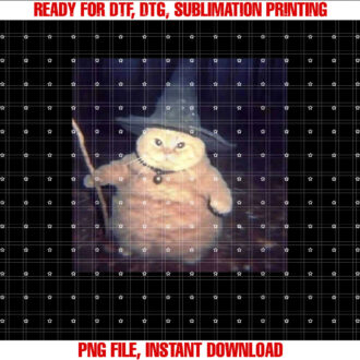 Vintage Witch Cat Peekaboo Halloween Funny Cat Meme Weird T-shirt