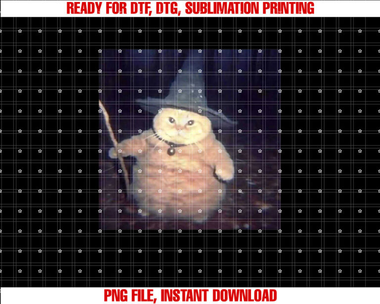 Vintage Witch Cat Peekaboo Halloween Funny Cat Meme Weird T-shirt